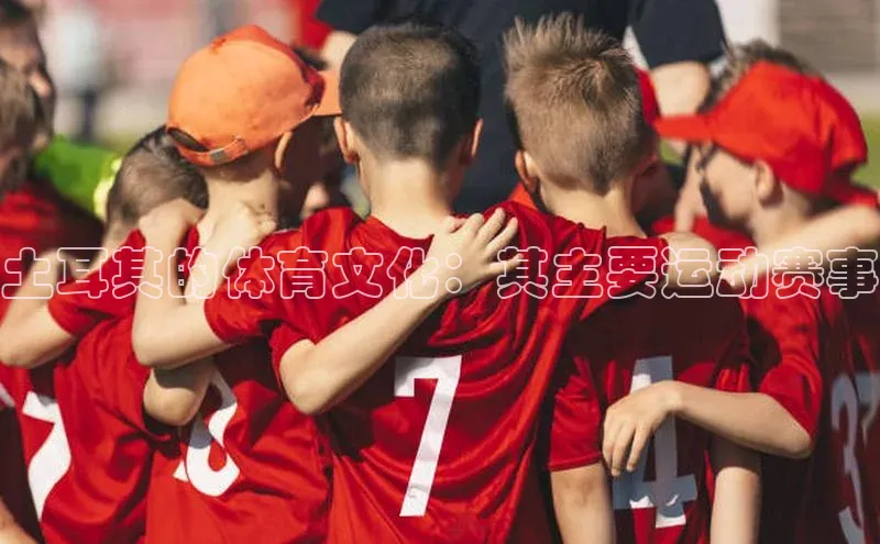 长征娱乐官网网页入口百度营销中心土耳其的体育文化：其主要运动赛事