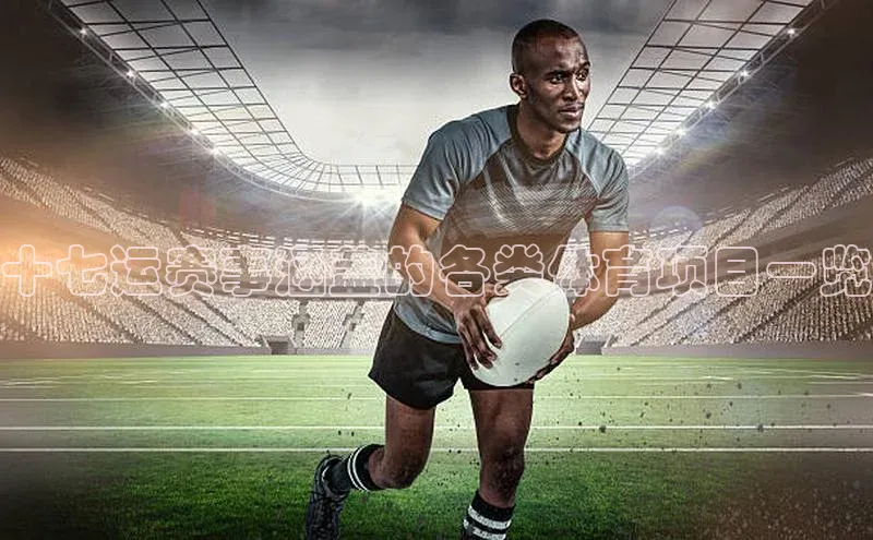 十七运赛事涵盖的各类体育项目一览