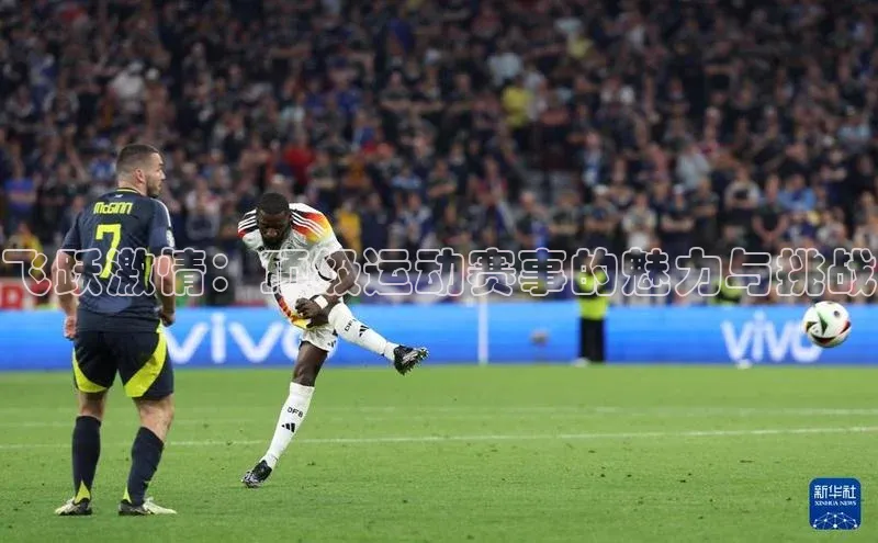 飞跃激情：顶级运动赛事的魅力与挑战