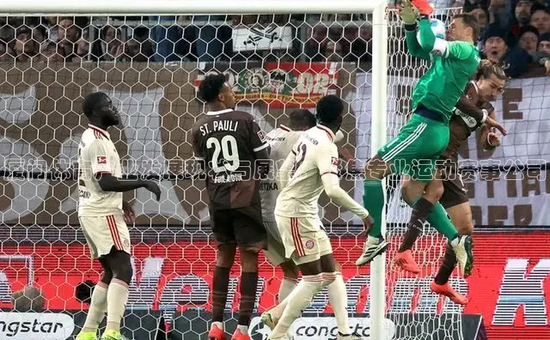 厦门体育产业发展现状与展望：聚焦专业运动赛事公司