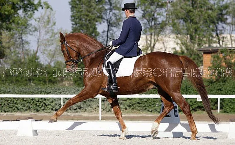 全球视野：顶尖运动项目的国际竞争格局与未来趋势