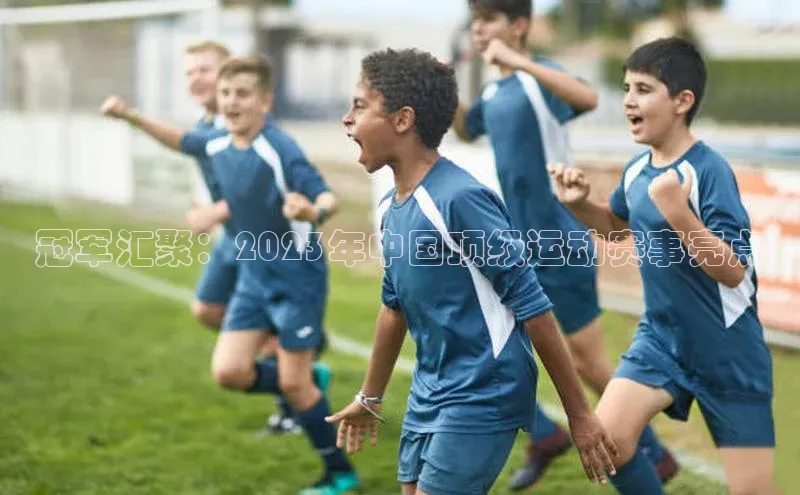 冠军汇聚：2023年中国顶级运动赛事亮点