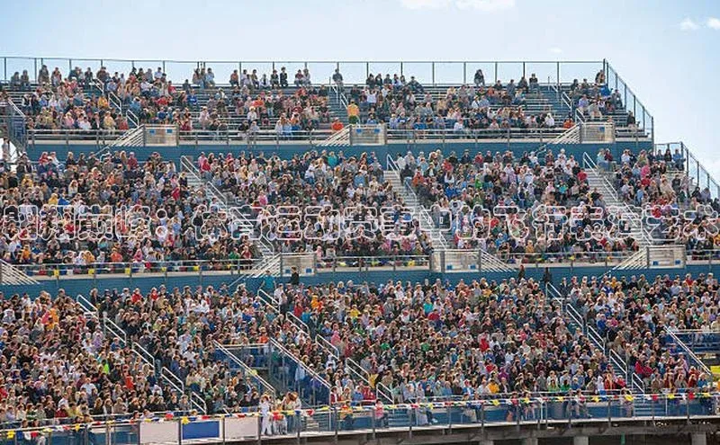 翱翔巅峰：体育运动赛事中的飞行表演艺术