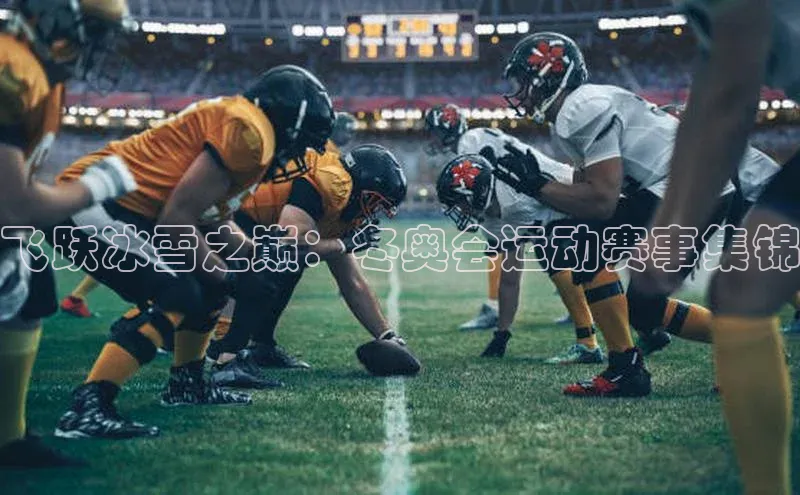 飞跃冰雪之巅：冬奥会运动赛事集锦