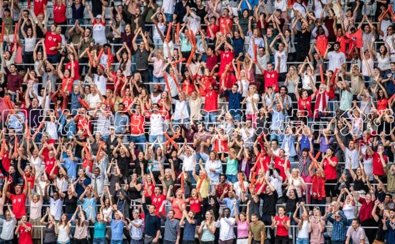 国际体育盛事：近期热点与分析