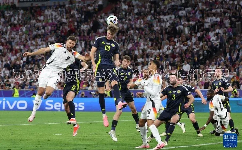 西安运动赛事盛况：2023年度排行榜