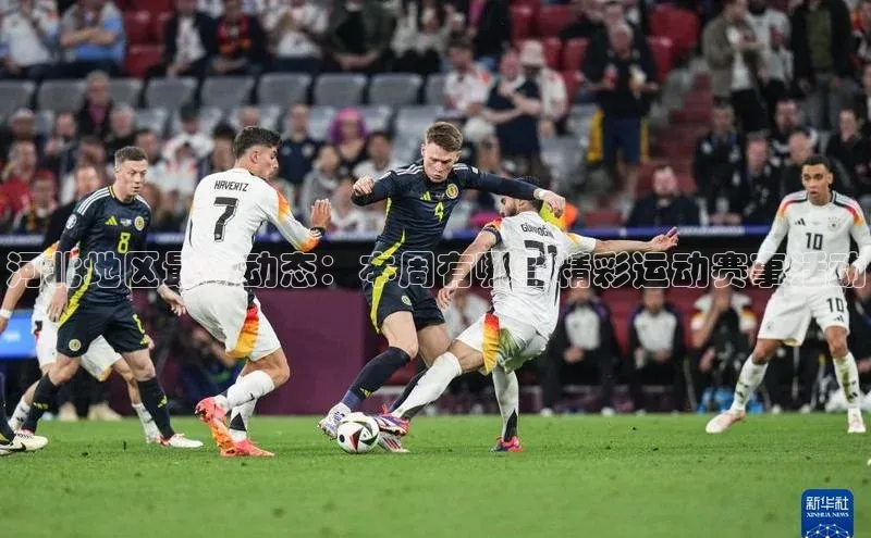 河北地区最新动态：本周有哪些精彩运动赛事活动