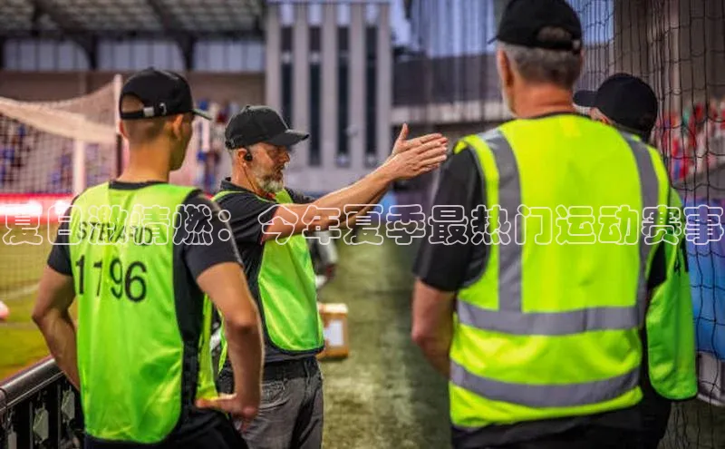 夏日激情燃：今年夏季最热门运动赛事