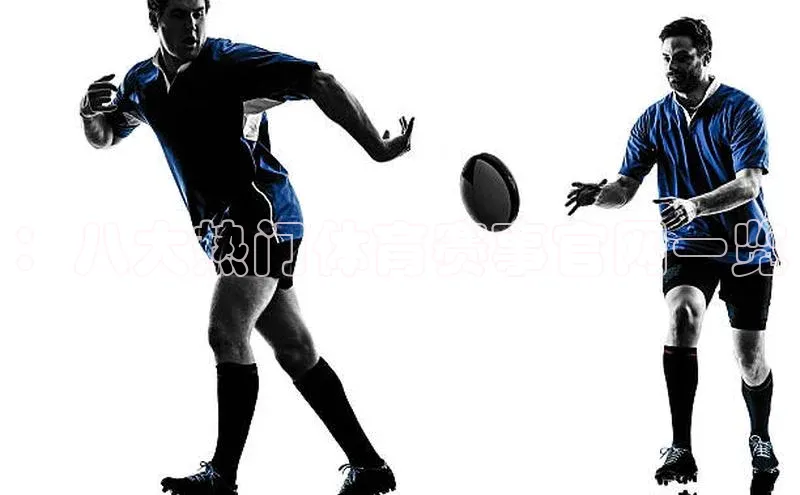 ：八大热门体育赛事官网一览