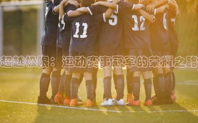 超越极限：运动赛事冠军的荣耀之路