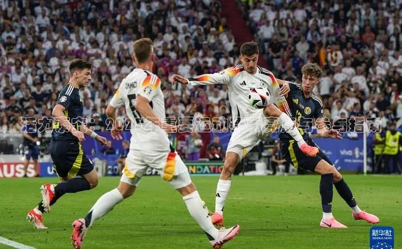 活力泰安：2023年重要运动赛事亮点与参与指南