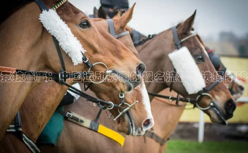 竞技盛事：中国运动赛事的报名流程与选择策略