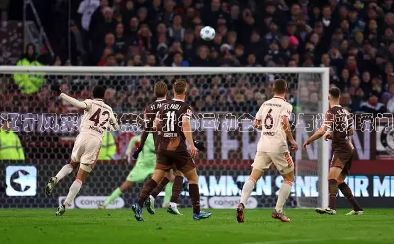 辽宁风采：聚焦辽宁省运动会盛况与精彩瞬间